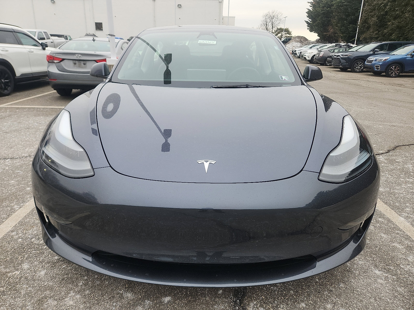Used 2023 Tesla Model 3 Base with VIN 5YJ3E1EA4PF701142 for sale in Springfield, PA