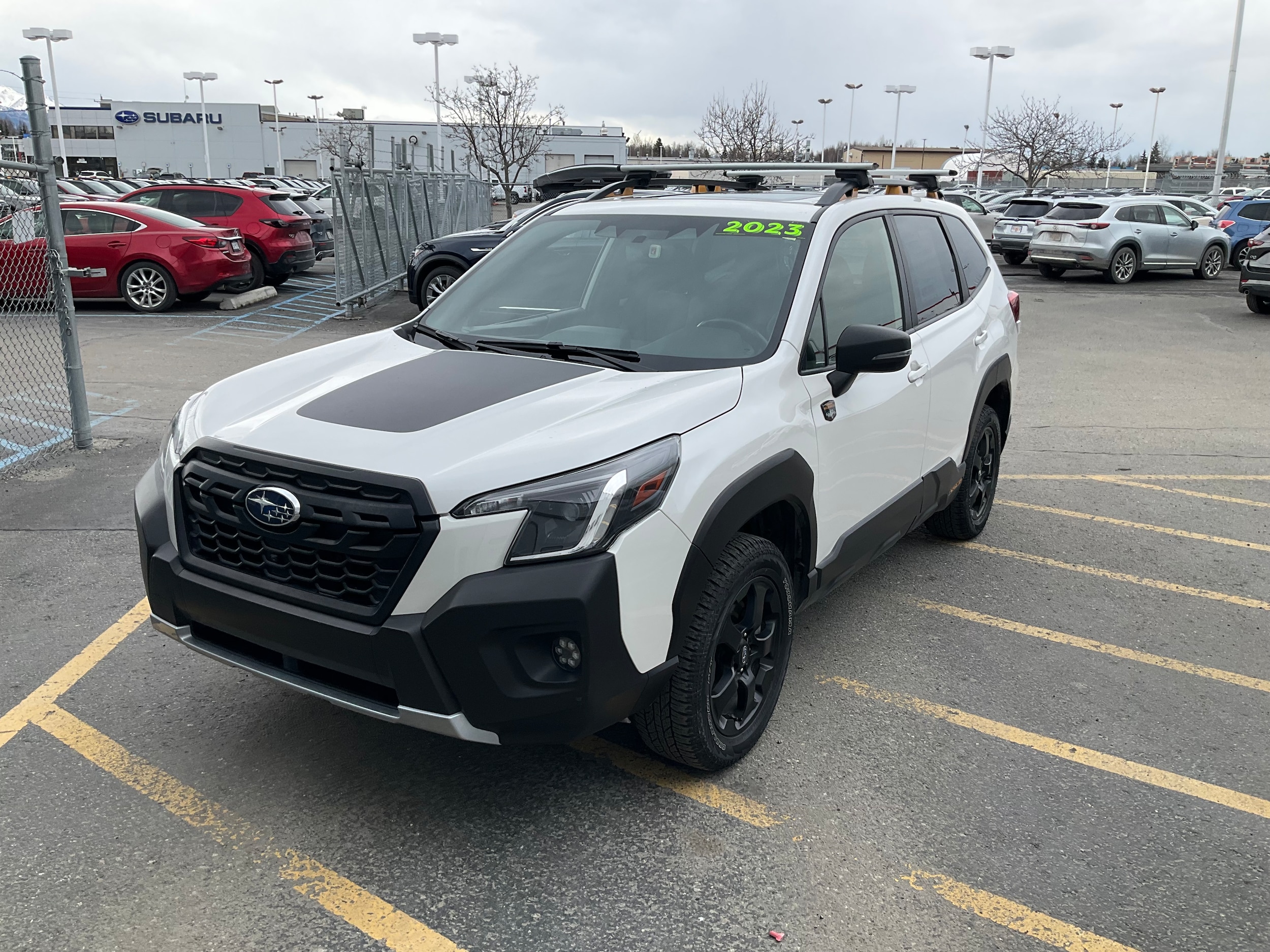 2023 Subaru Forester Wilderness's photo