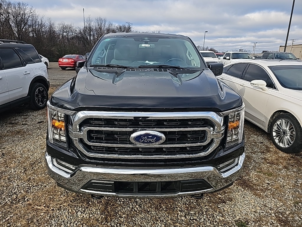 2023 Ford F-150 XLT's photo