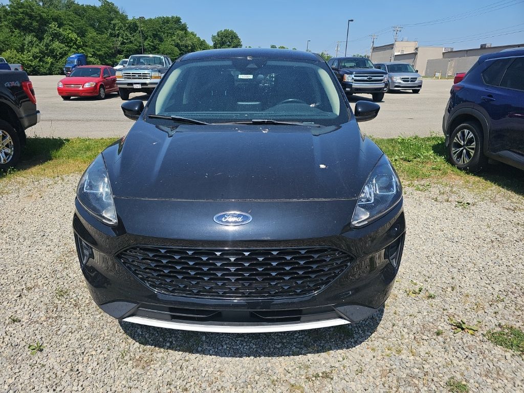 Used 2020 Ford Escape SE with VIN 1FMCU9BZXLUC49920 for sale in Bardstown, KY