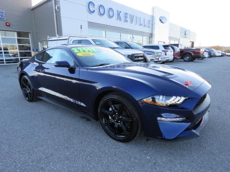 2019 Ford Mustang EcoBoost