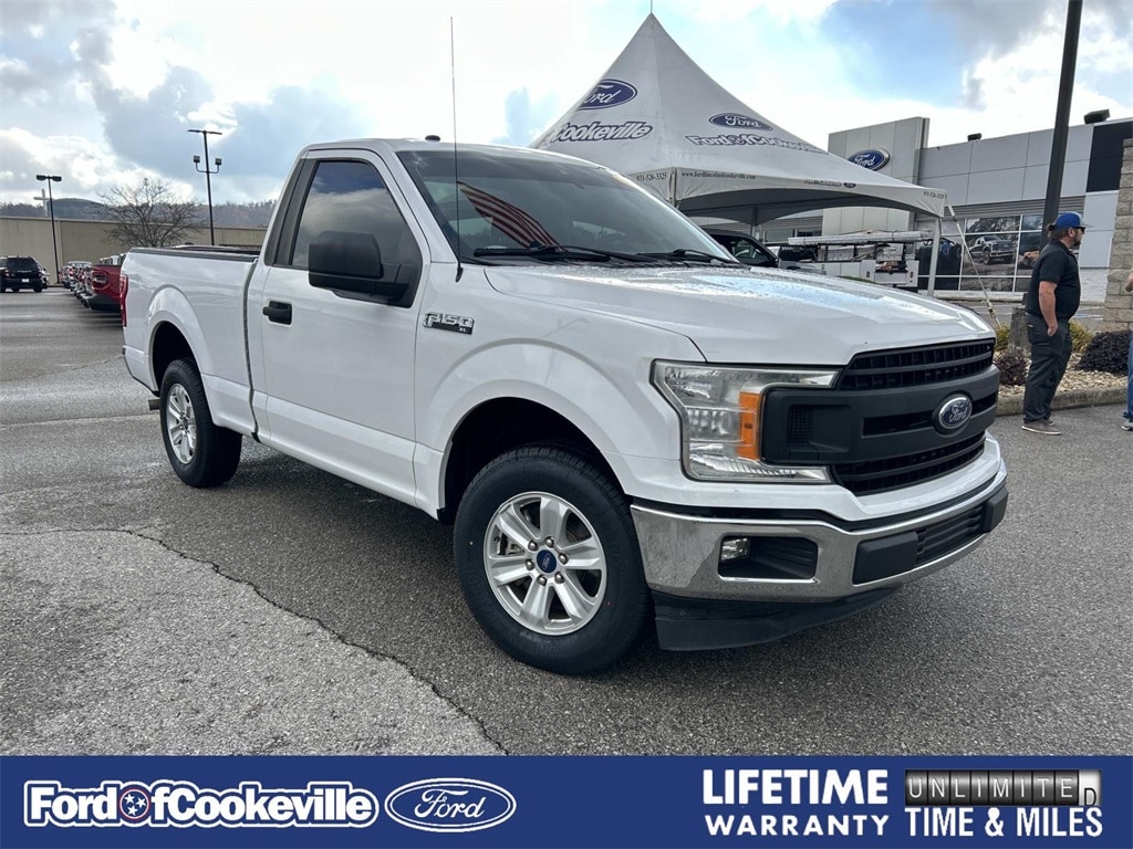 2019 Ford F-150 XL's photo