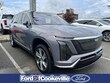  Cadillac Vistiq