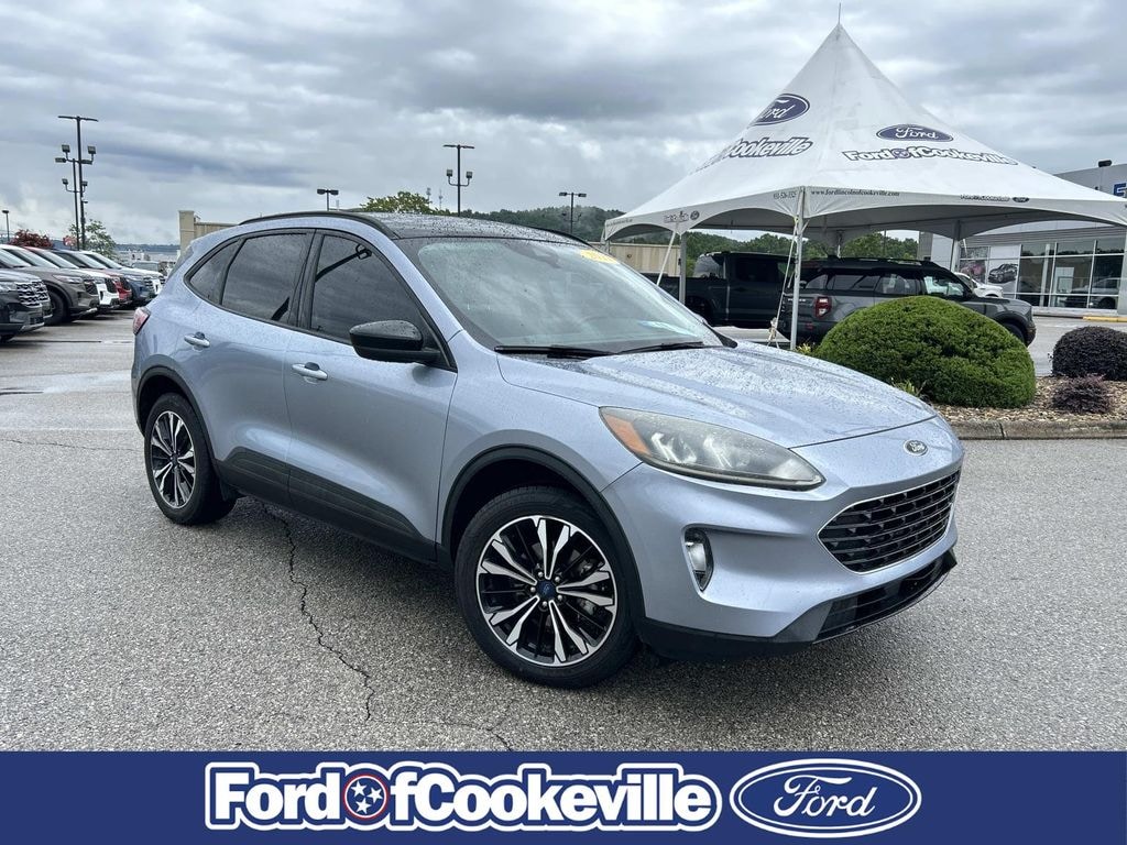 Used 2022 Ford Escape SEL SUV