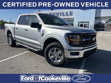 2025 Ford F-150 XLT Truck
