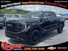 2025 GMC Sierra 1500 Elevation Truck Crew Cab