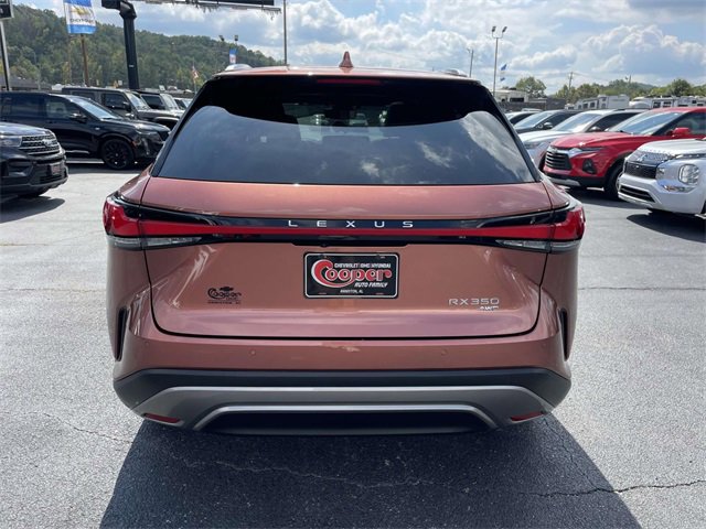 2023 Lexus RX 350 Premium photo 3