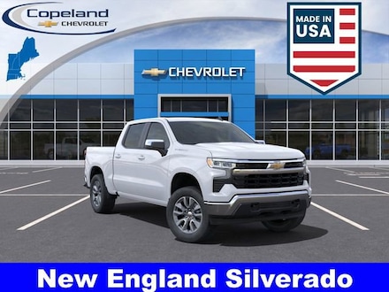 2025 Chevrolet Silverado 1500 LT (2FL) Truck