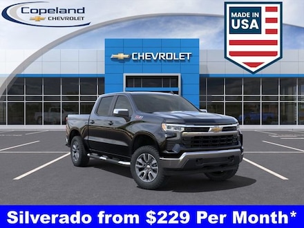 2025 Chevrolet Silverado 1500 LT Truck