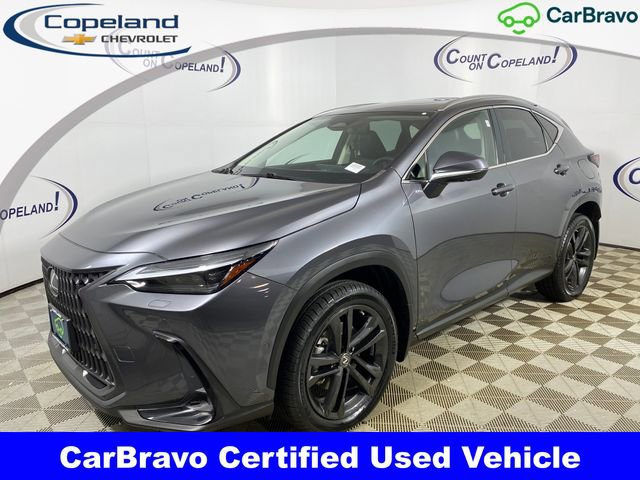 2022 Lexus NX PHEV 450h+'s photo