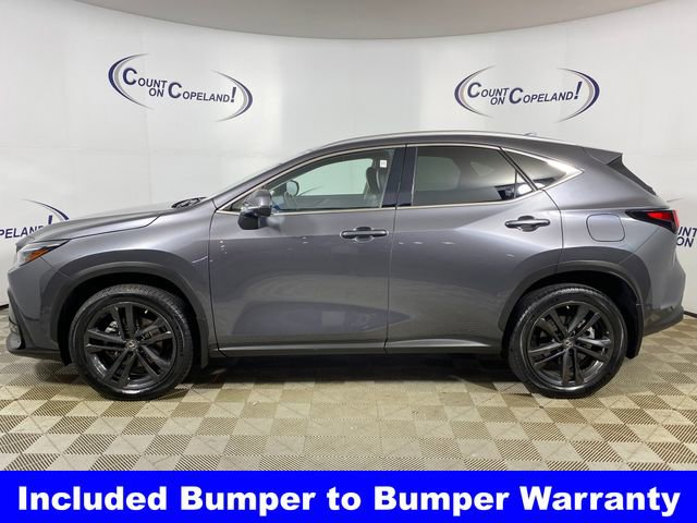 2022 Lexus NX 450h+ Luxury photo 2