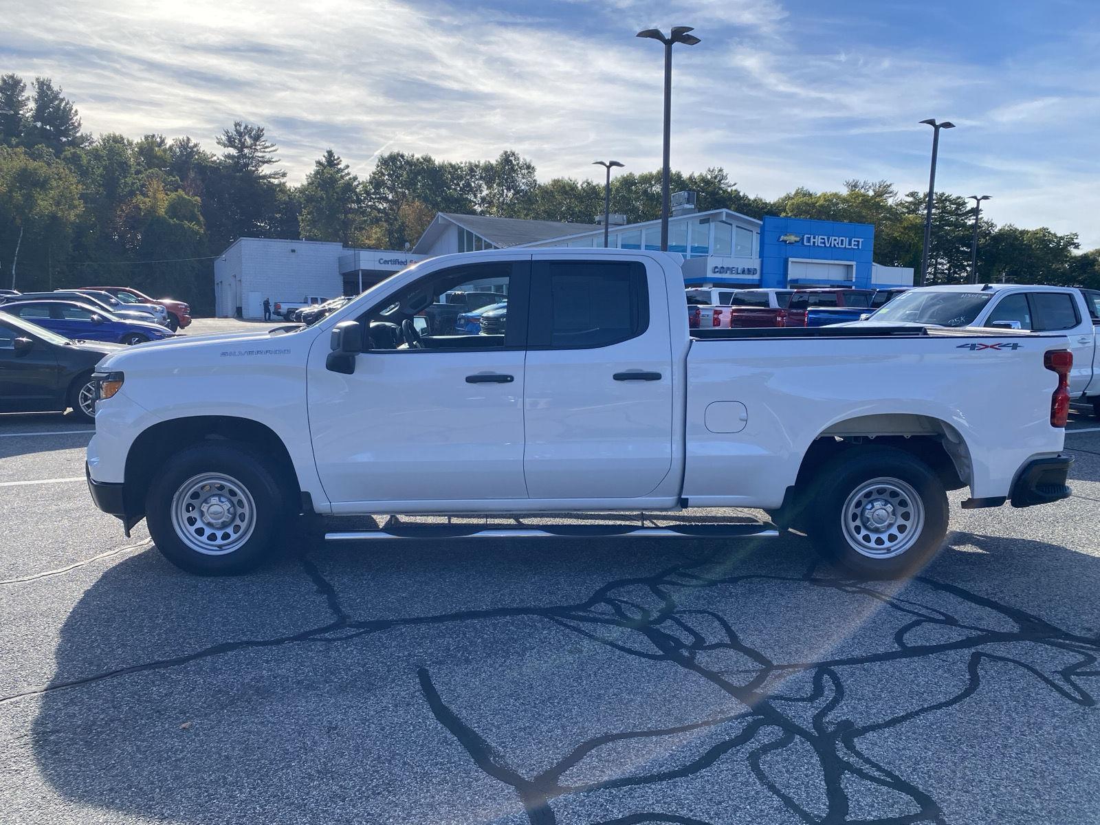 2022 Chevrolet Silverado 1500 Work Truck photo 3