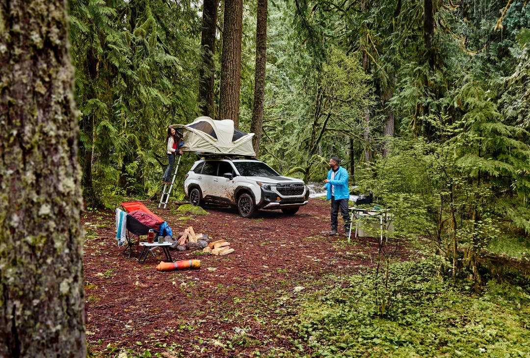 Subaru Forester Wilderness interior and technology