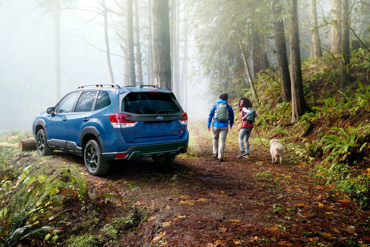 Subaru Forester Wilderness