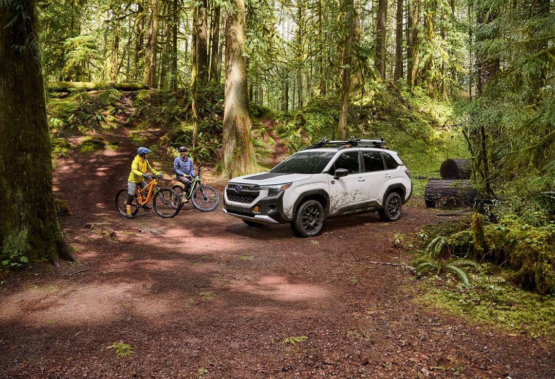 Blue Subaru Forester Wilderness driving in deep snow