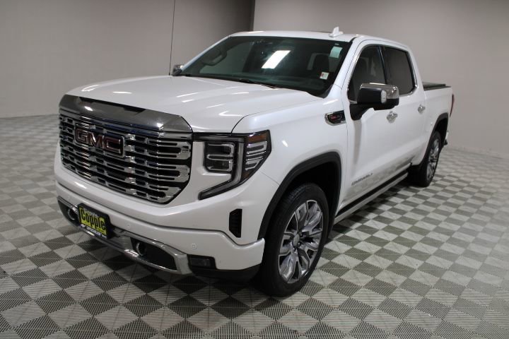 2023 Gmc Sierra 1500 Denali photo 3