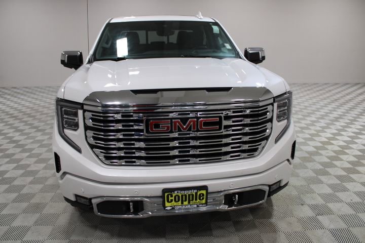 2023 Gmc Sierra 1500 Denali photo 2