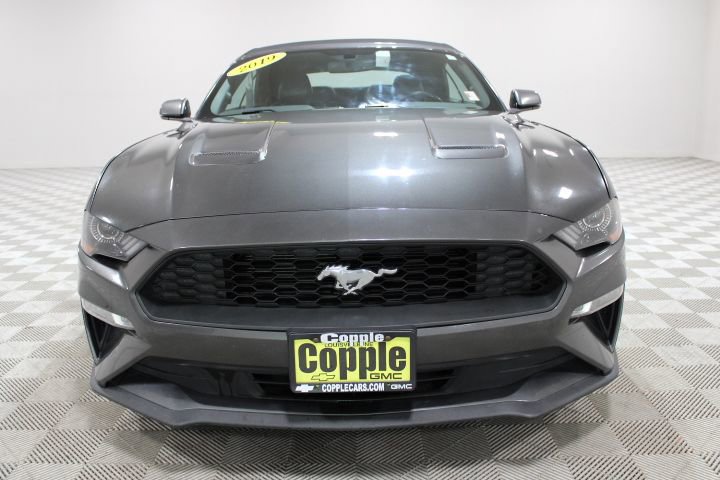 Used 2019 Ford Mustang EcoBoost with VIN 1FATP8UHXK5109343 for sale in Louisville, NE