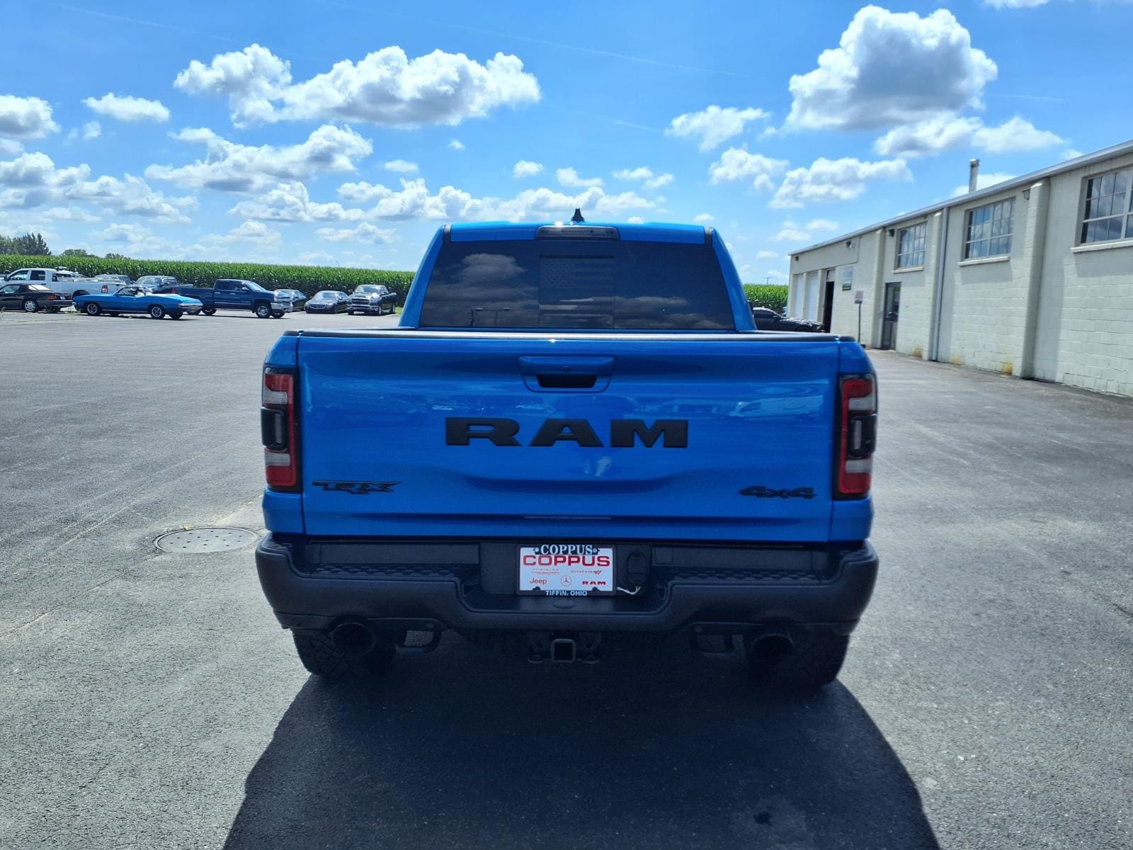 Photo 7