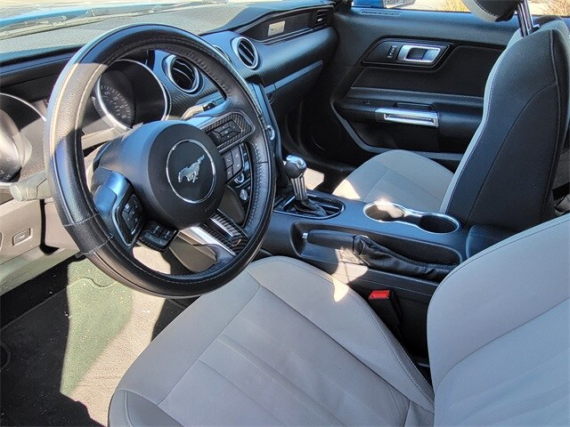 2019 Ford Mustang EcoBoost photo 4