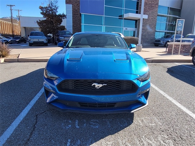 2019 Ford Mustang EcoBoost photo 2