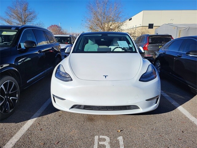 2021 Tesla Model Y Performance photo 2