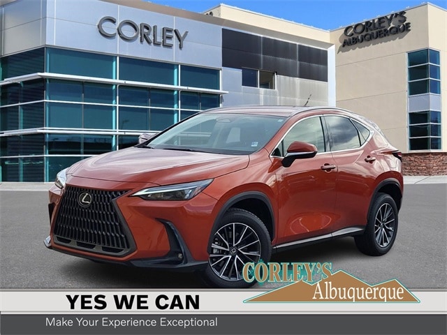 2022 Lexus NX 250's photo