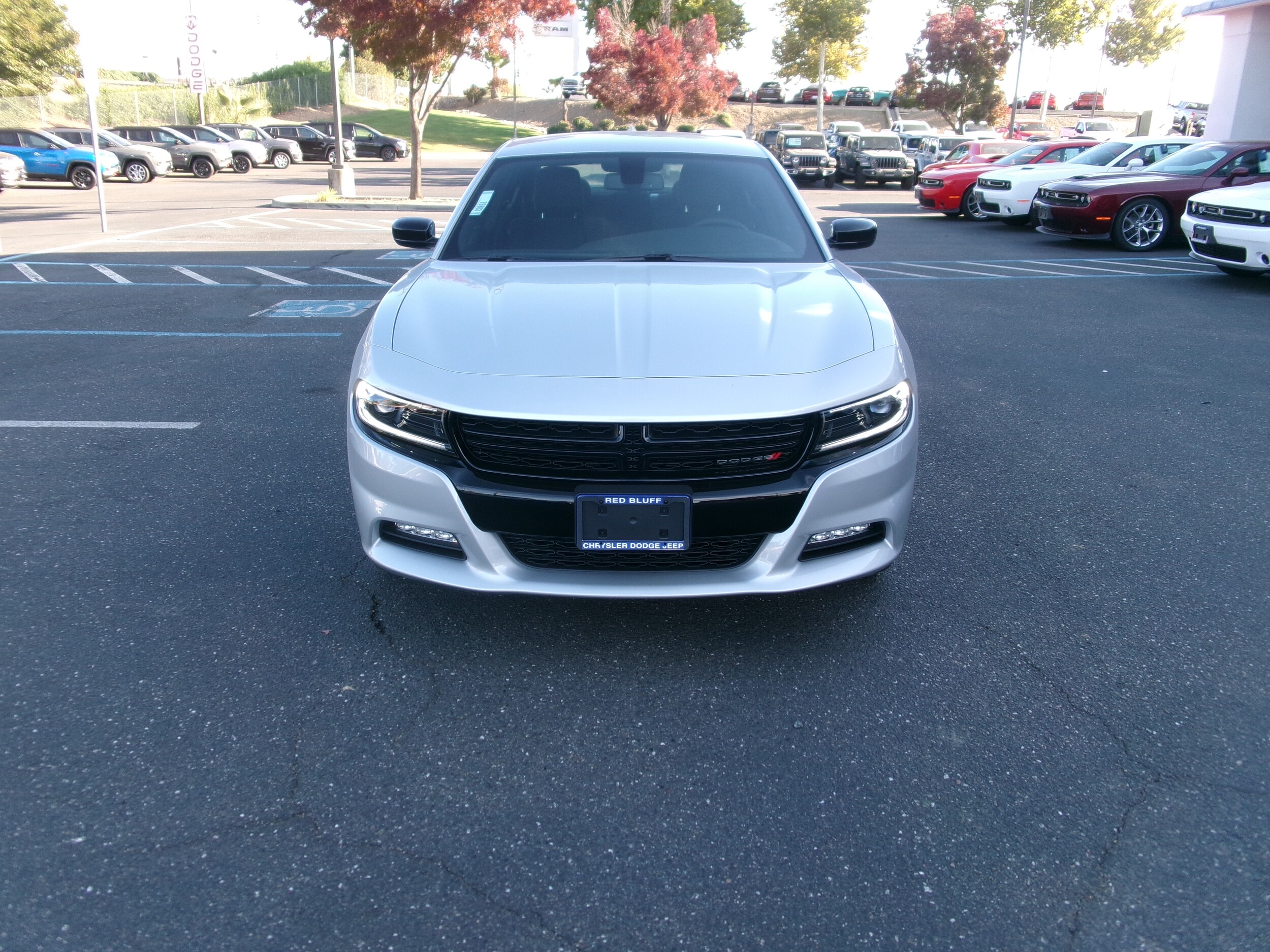 2023 Dodge Charger SXT photo 3