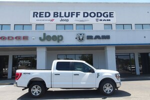 2023 Ford F-150 XLT Truck