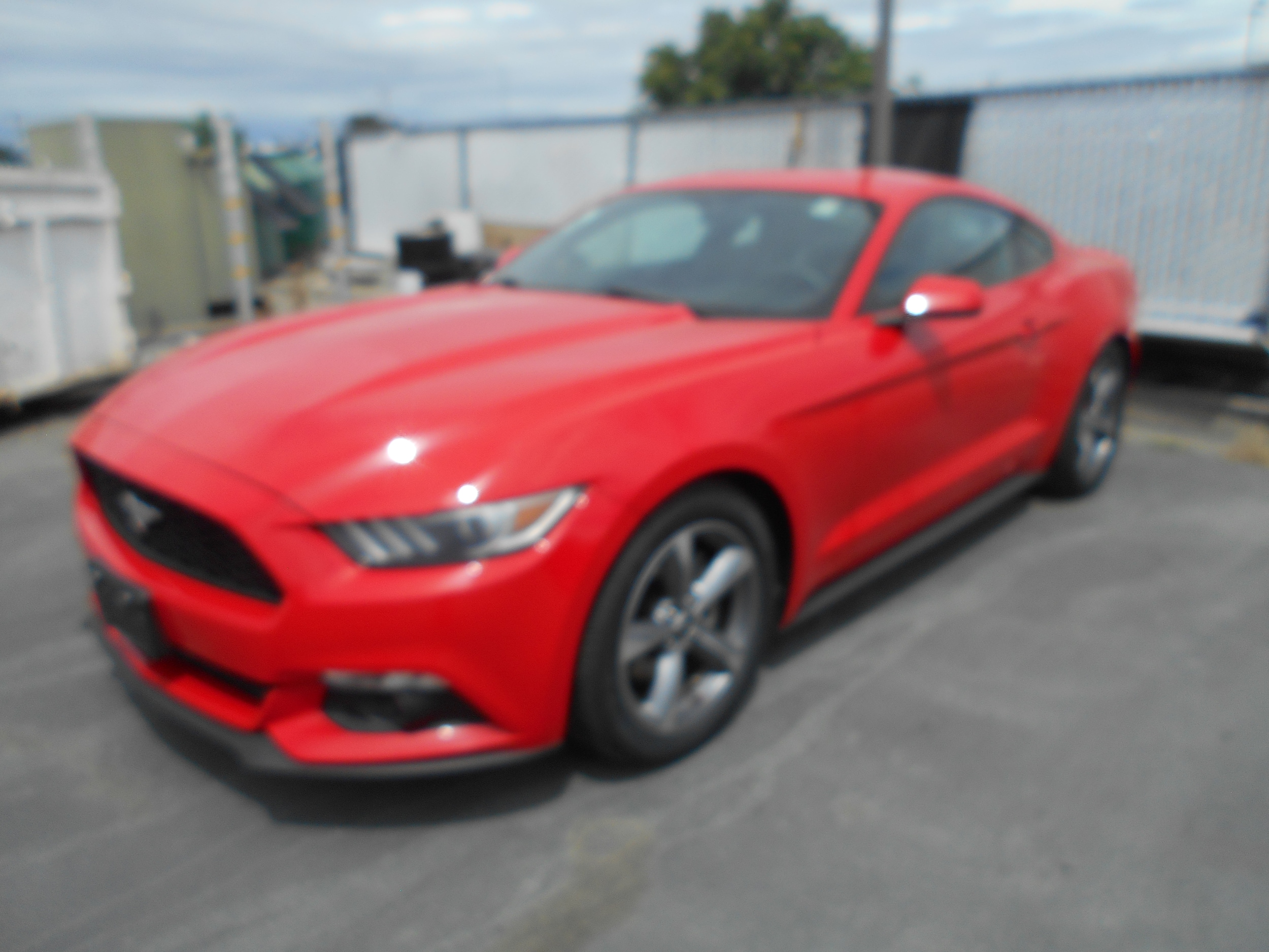 2015 Ford Mustang EcoBoost Coupe Premium's photo