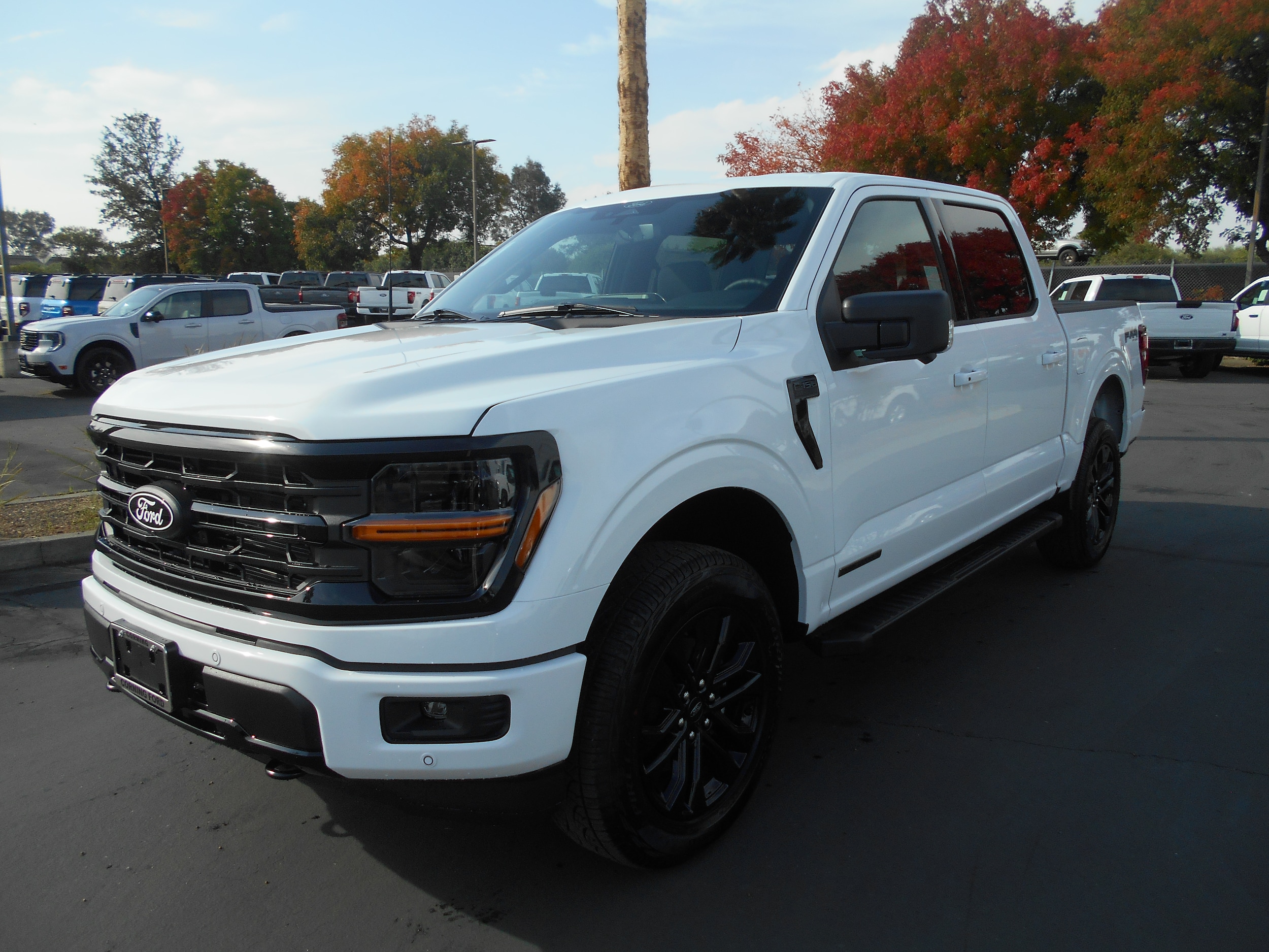 2025 Ford F-150 XLT's photo