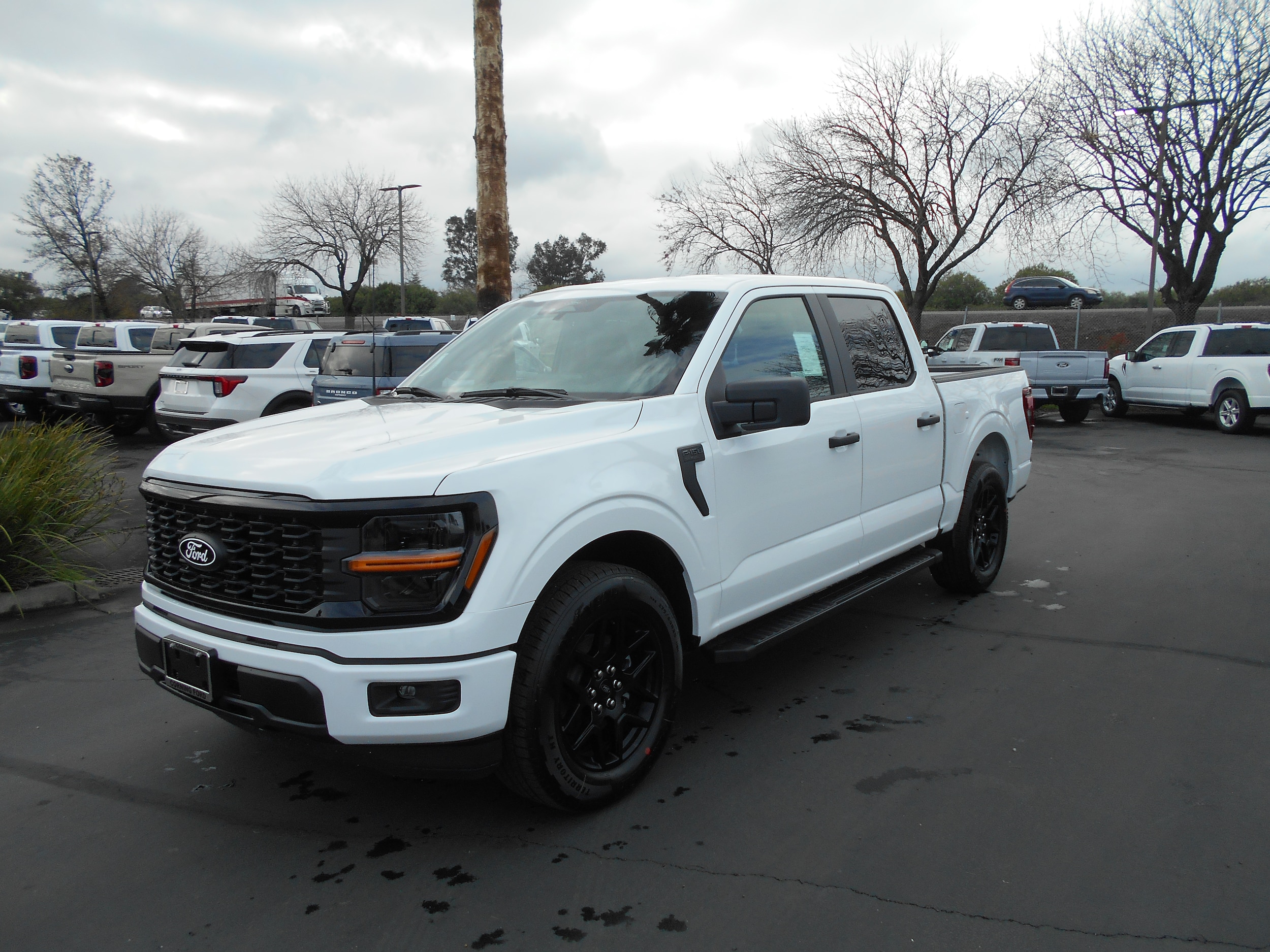 2025 Ford F-150 STX's photo