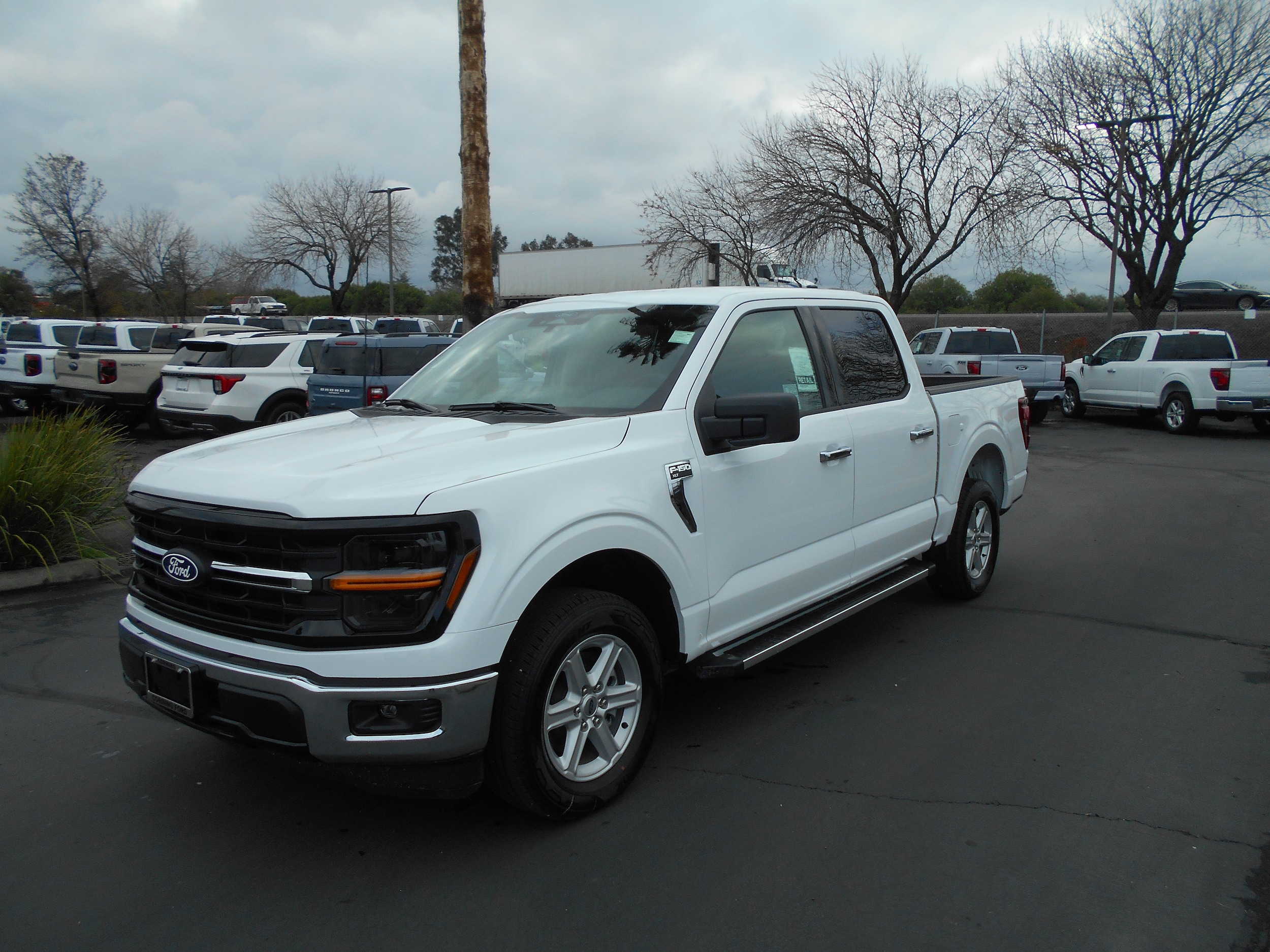 2025 Ford F-150 XLT's photo