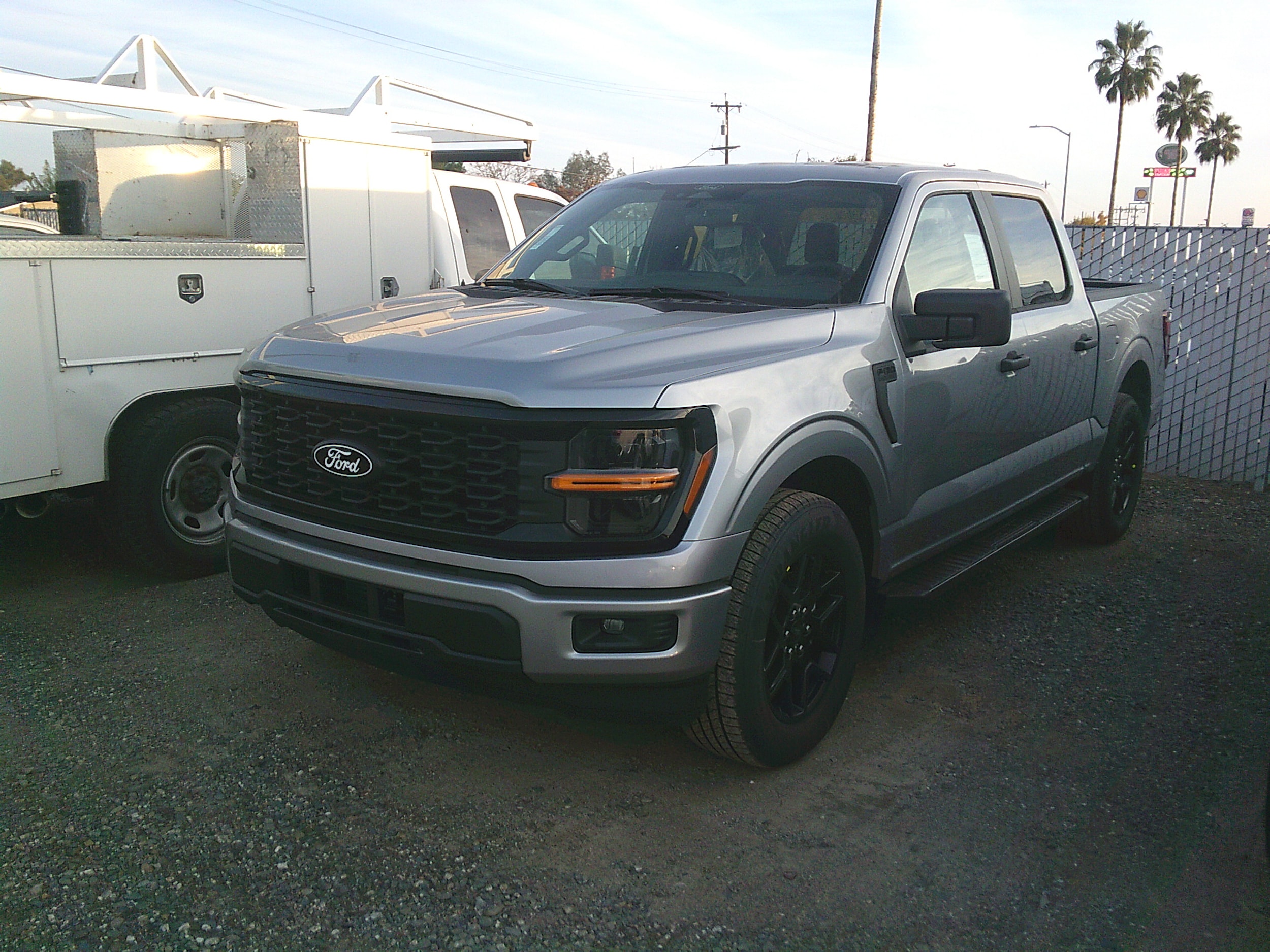 2025 Ford F-150 STX's photo