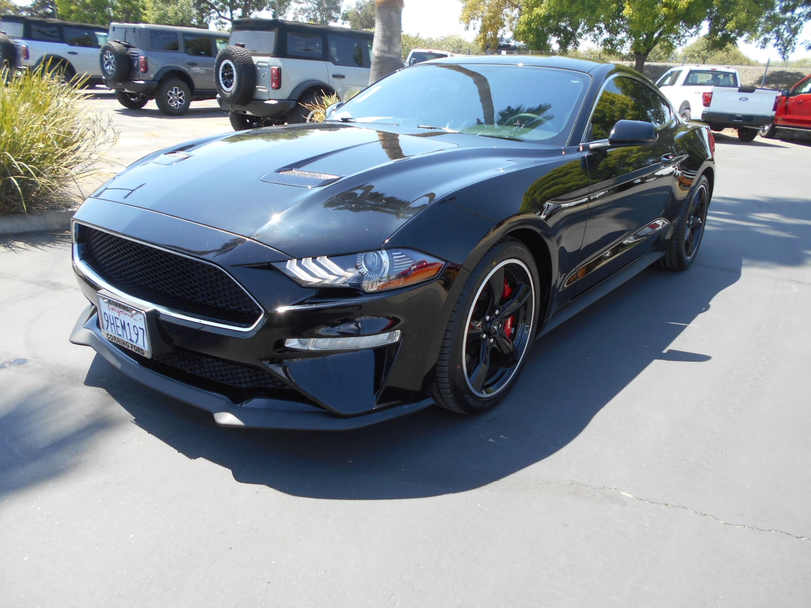 2019 Ford Mustang Coupe 