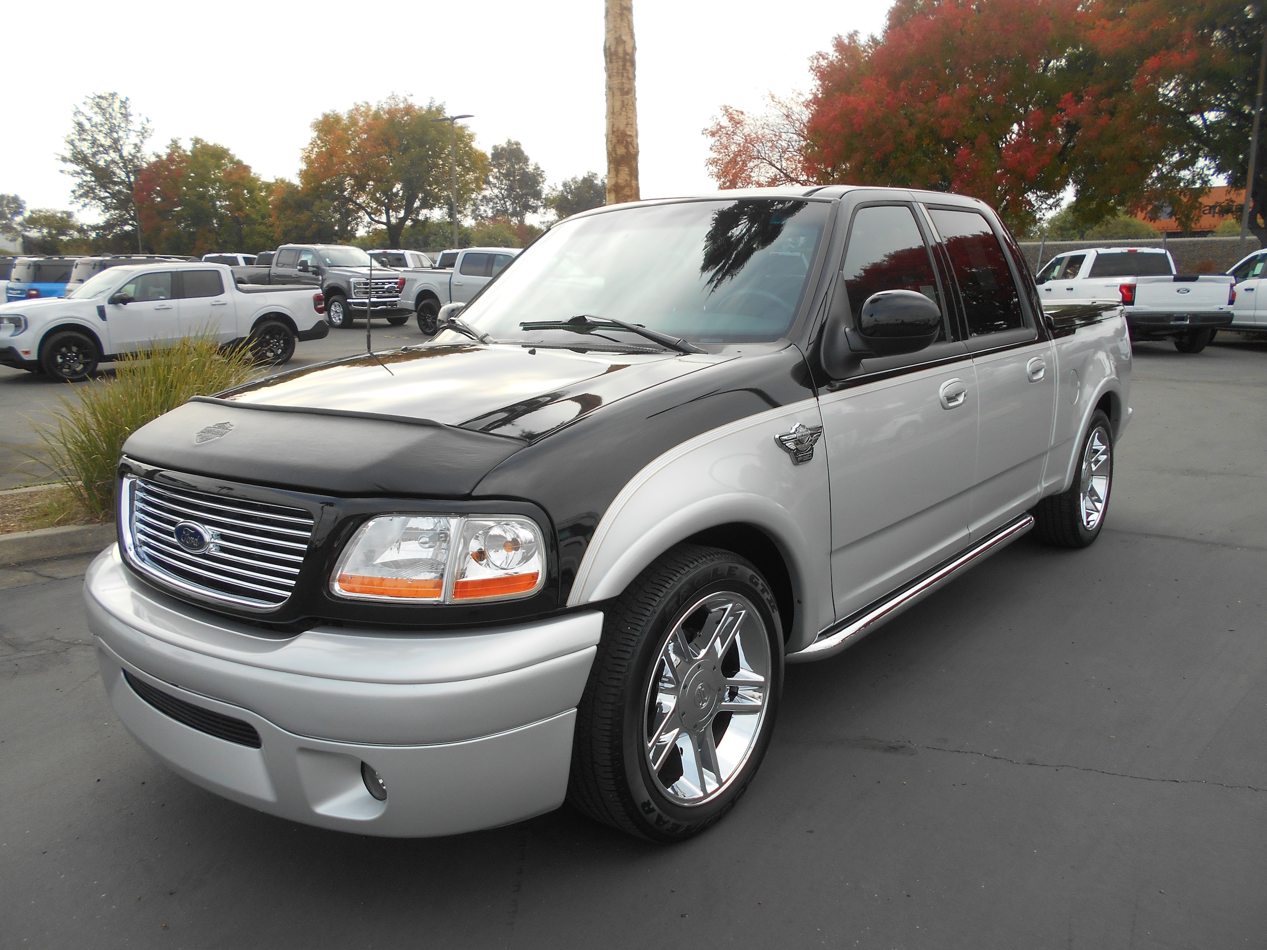 2003 Ford F-150 Harley-Davidson's photo