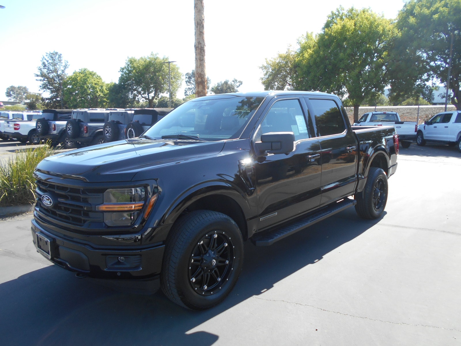 2025 Ford F-150 XLT's photo