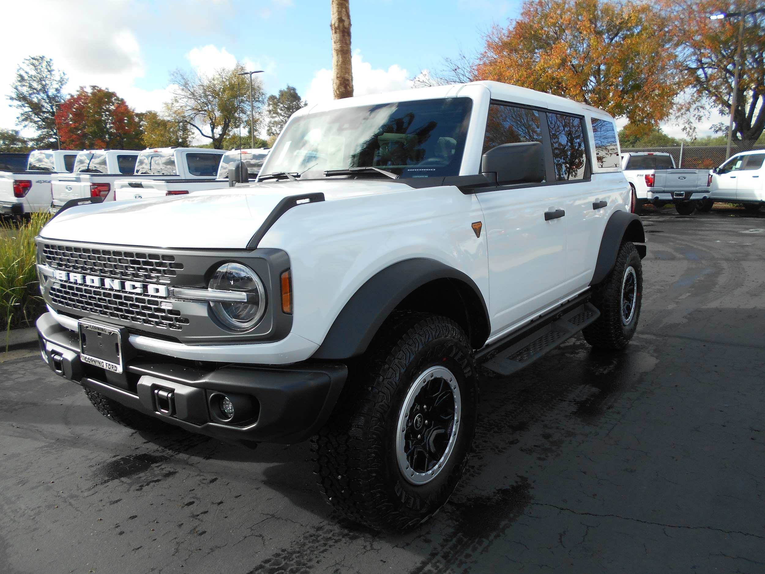 2025 Ford Bronco 4-Door Badlands's photo