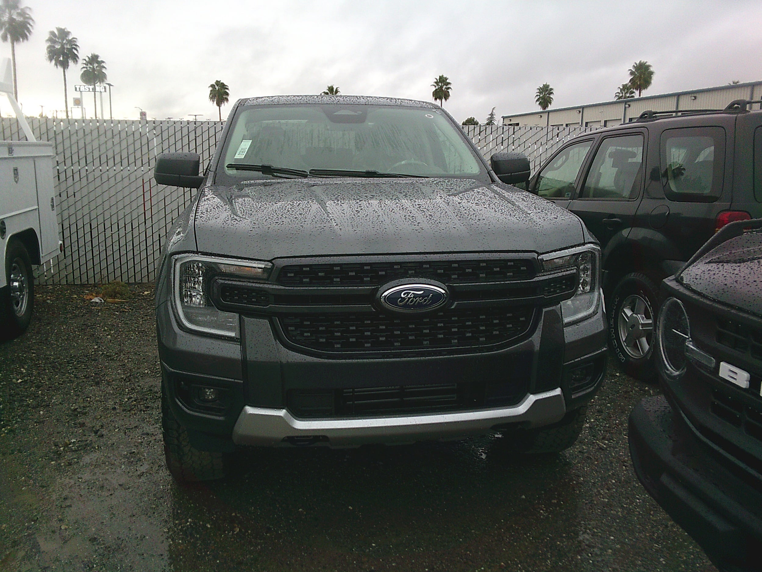 2025 Ford Ranger XLT's photo