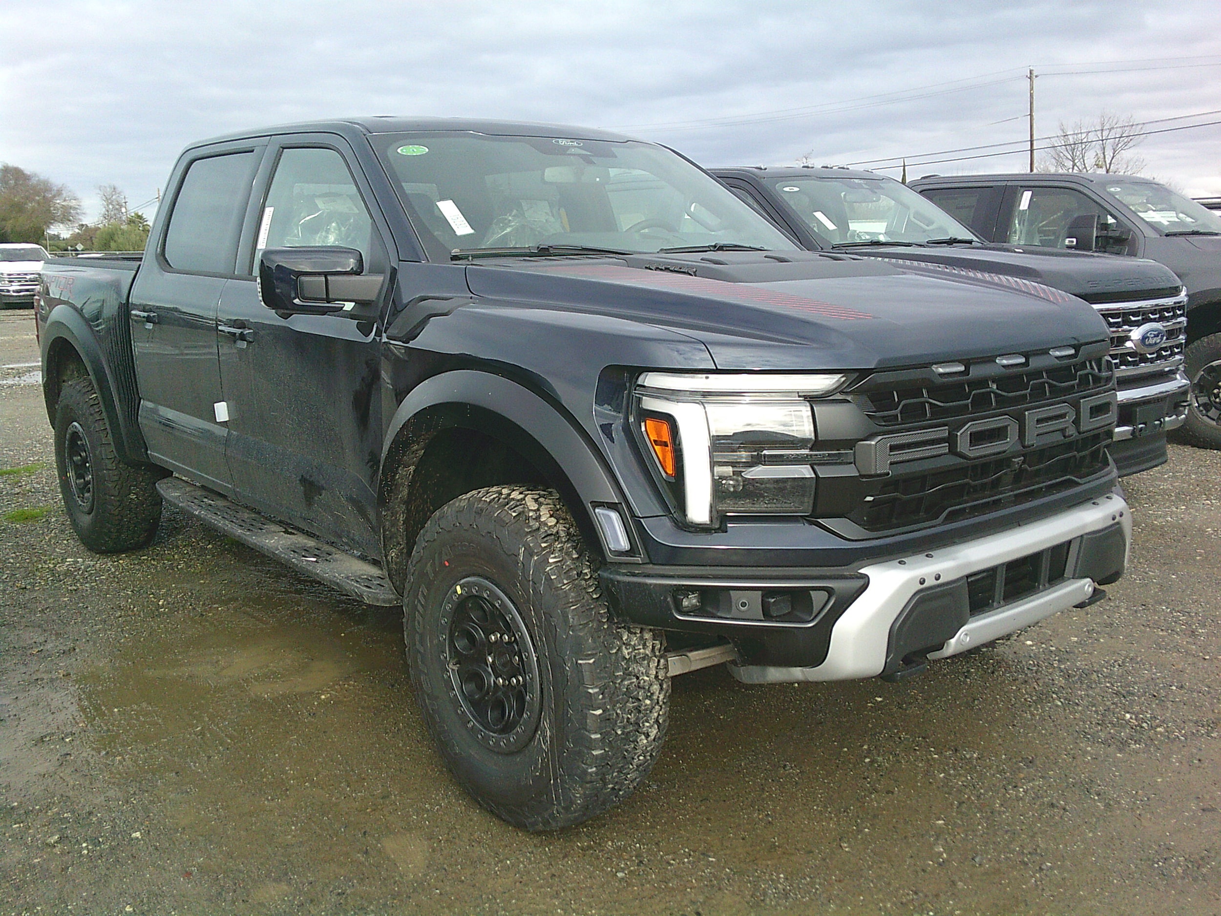 2025 Ford F-150 Raptor's photo