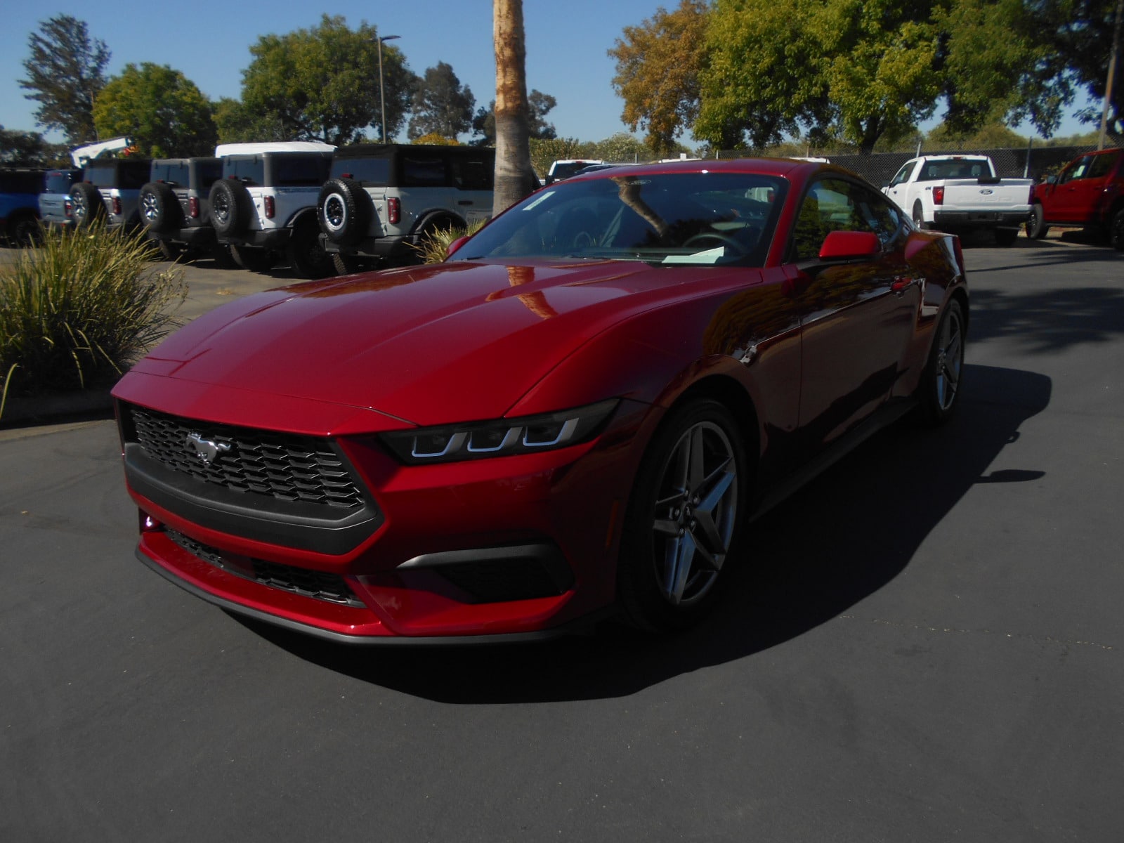 2024 Ford Mustang Coupe 