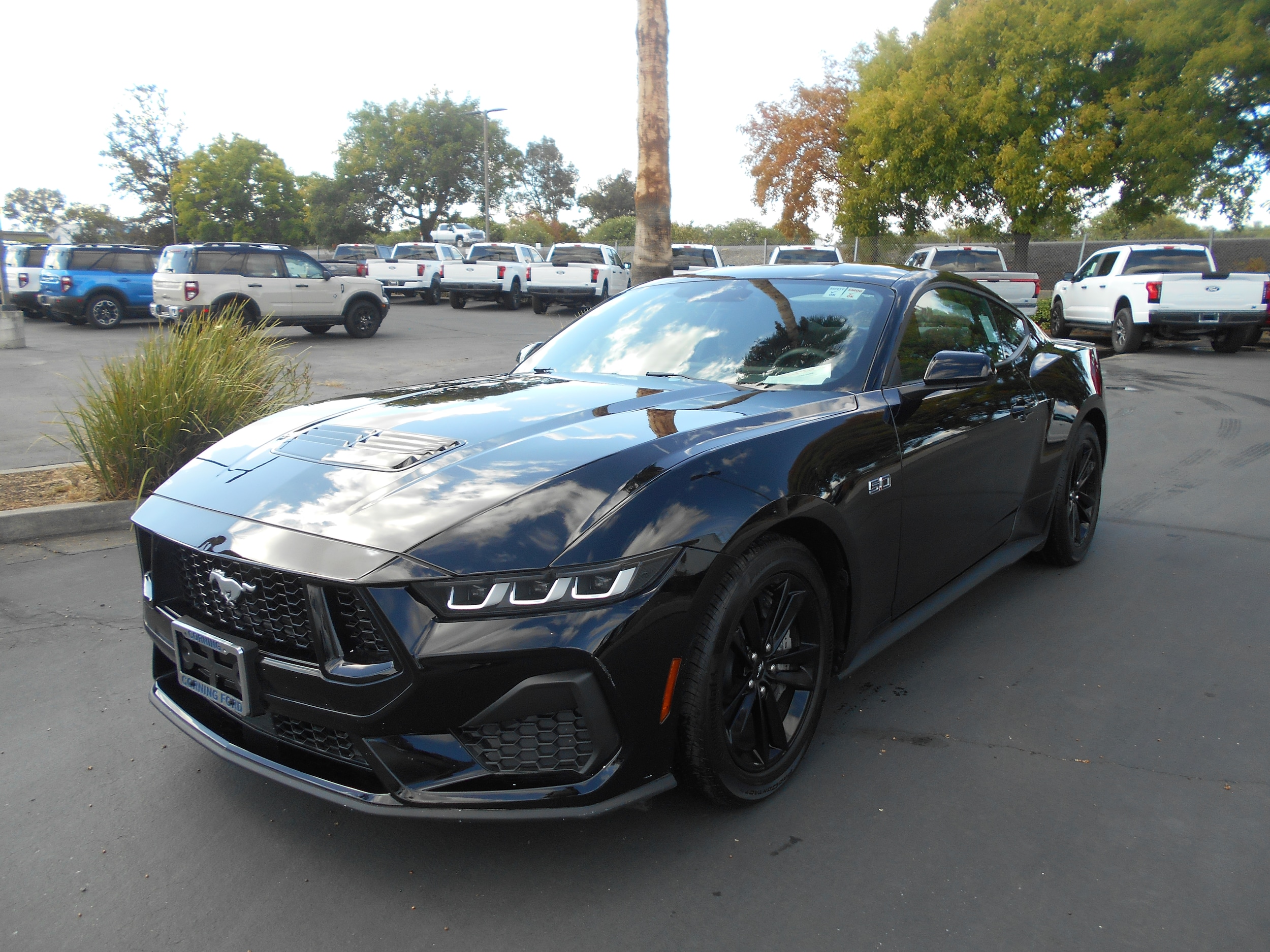 2024 Ford Mustang Coupe 