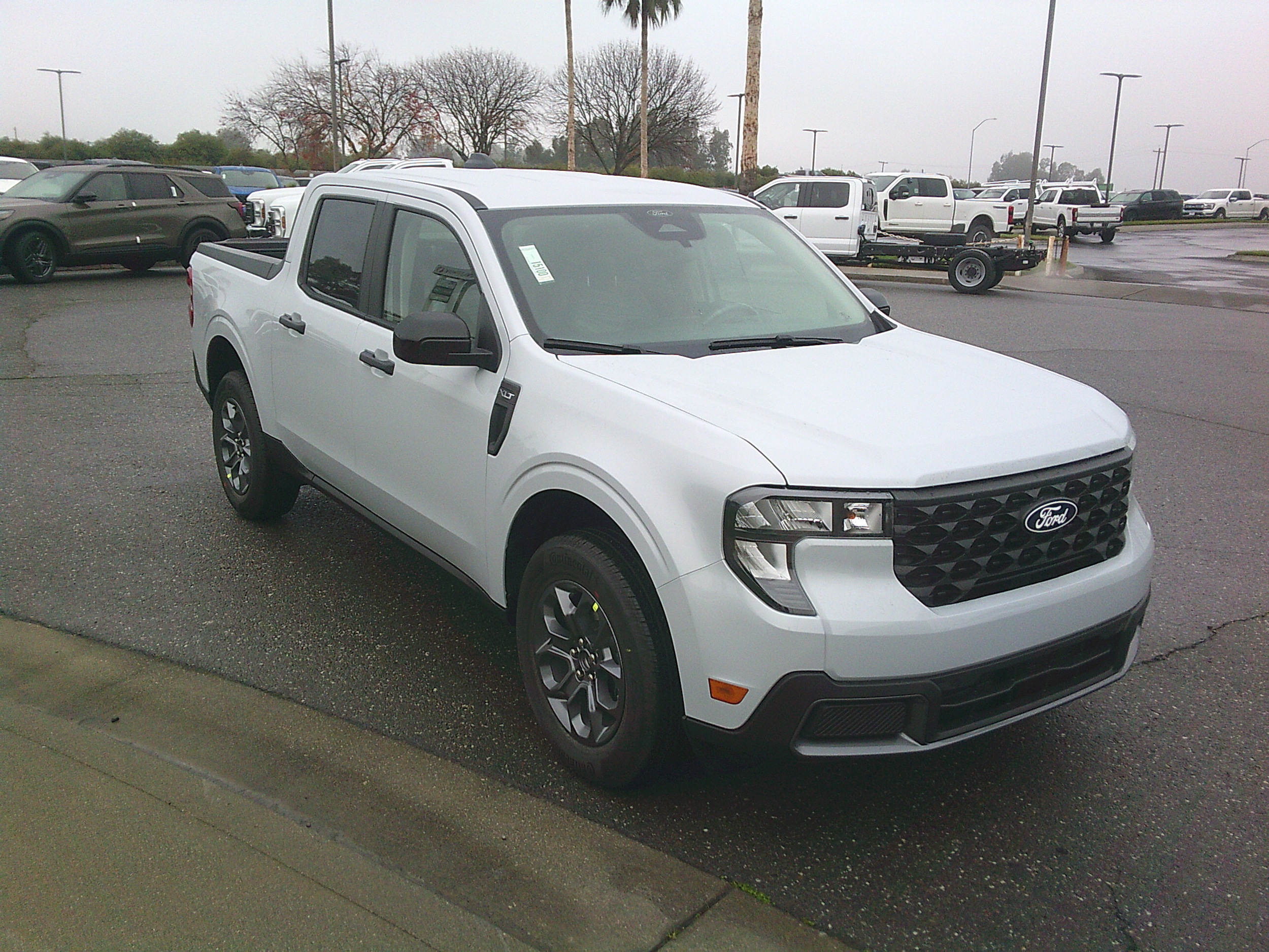 2026 Ford Maverick XLT's photo