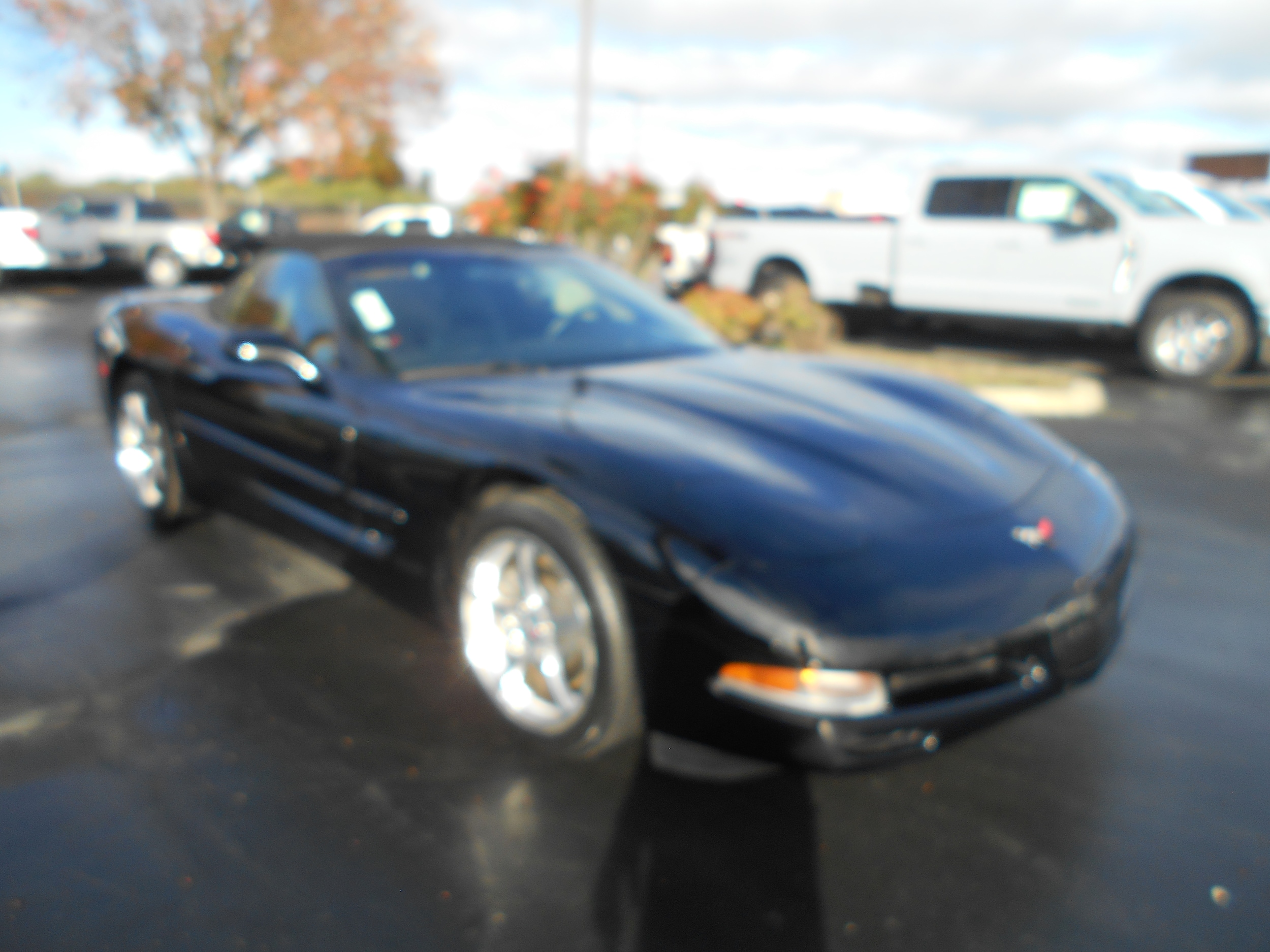 2004 Chevrolet Corvette Leather photo 6