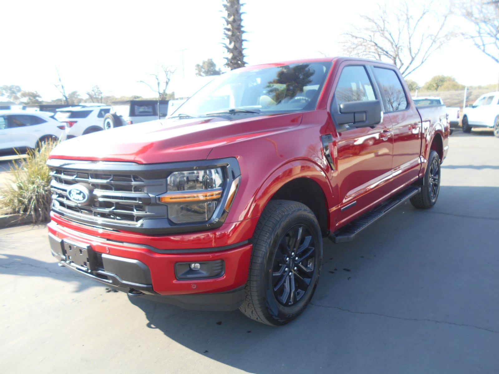 2025 Ford F-150 XLT's photo