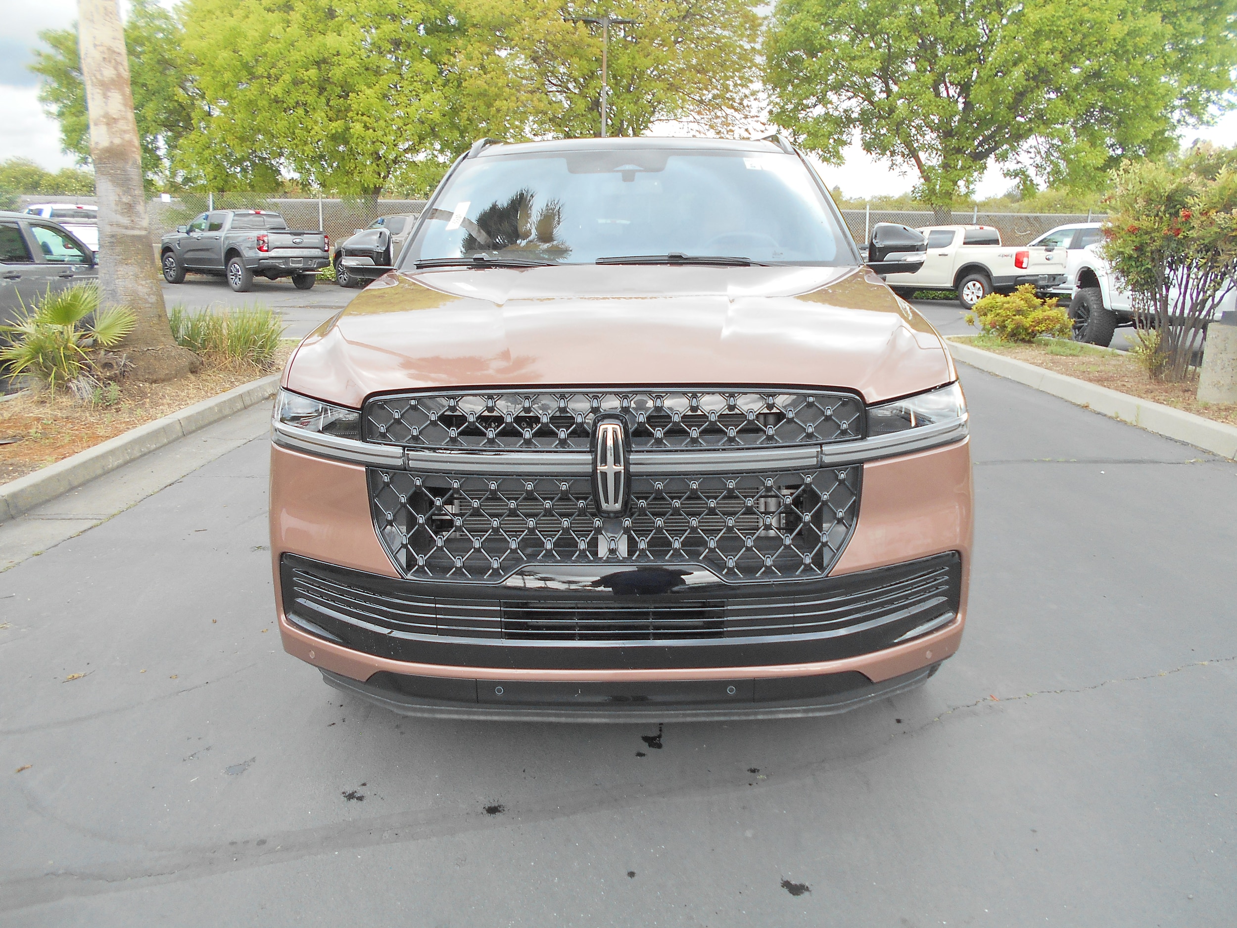 2025 Lincoln Navigator Black Label photo 3