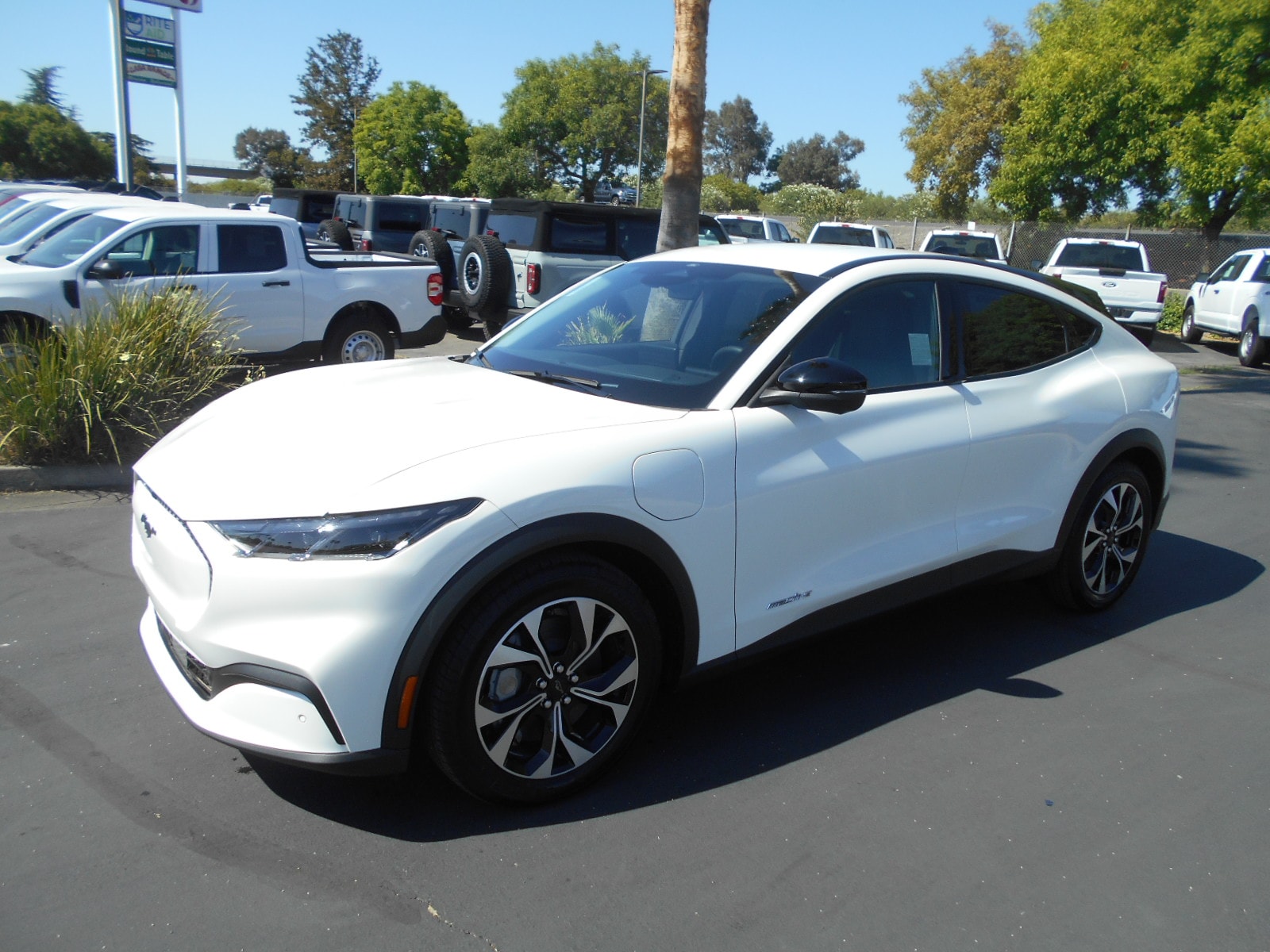 2025 Ford Mustang Mach-E Select RWD's photo
