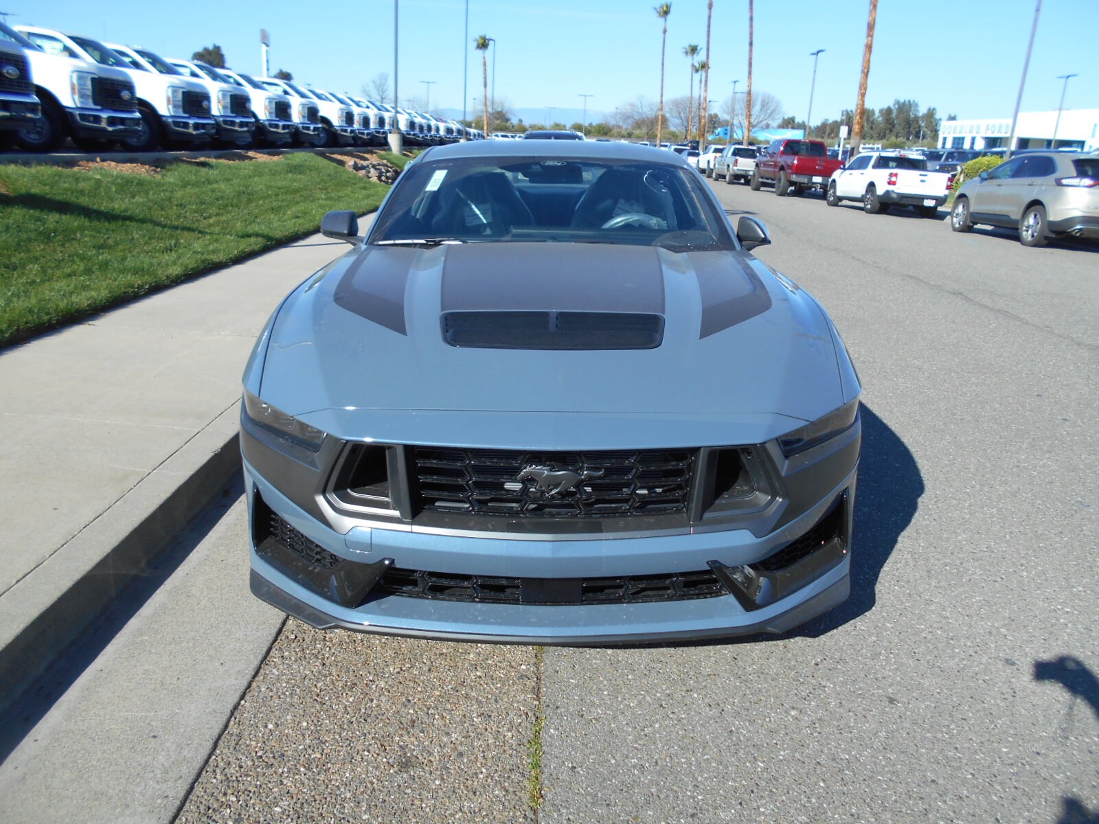 2025 Ford Mustang Dark Horse photo 2