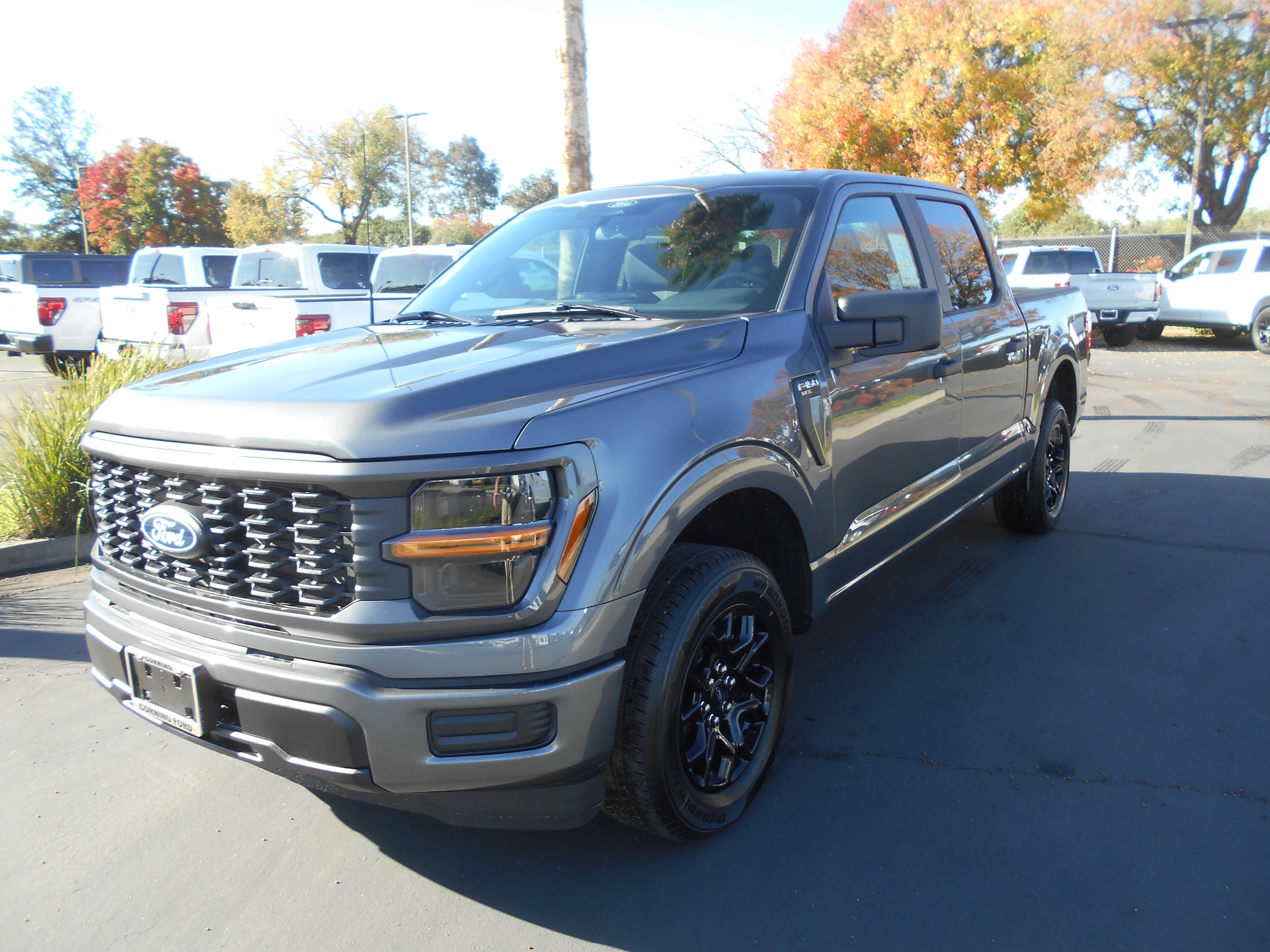 2025 Ford F-150 STX's photo