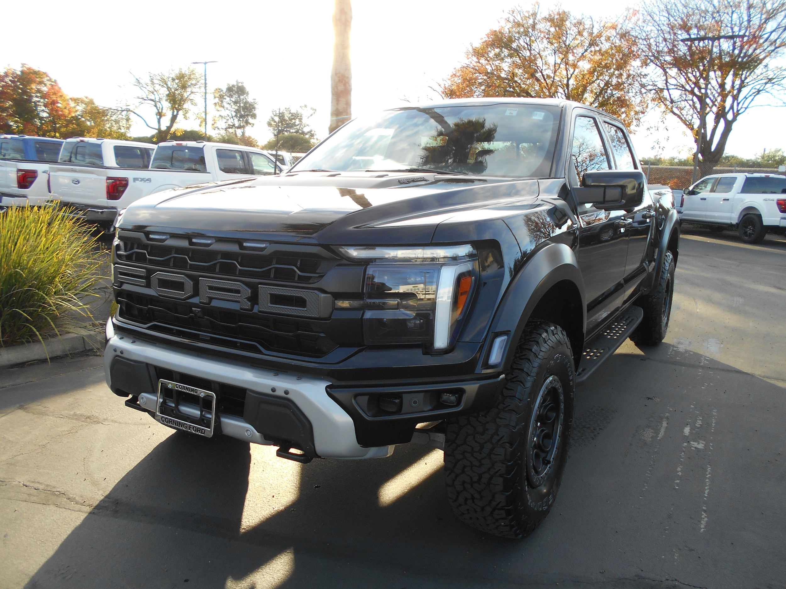 2025 Ford F-150 Raptor's photo